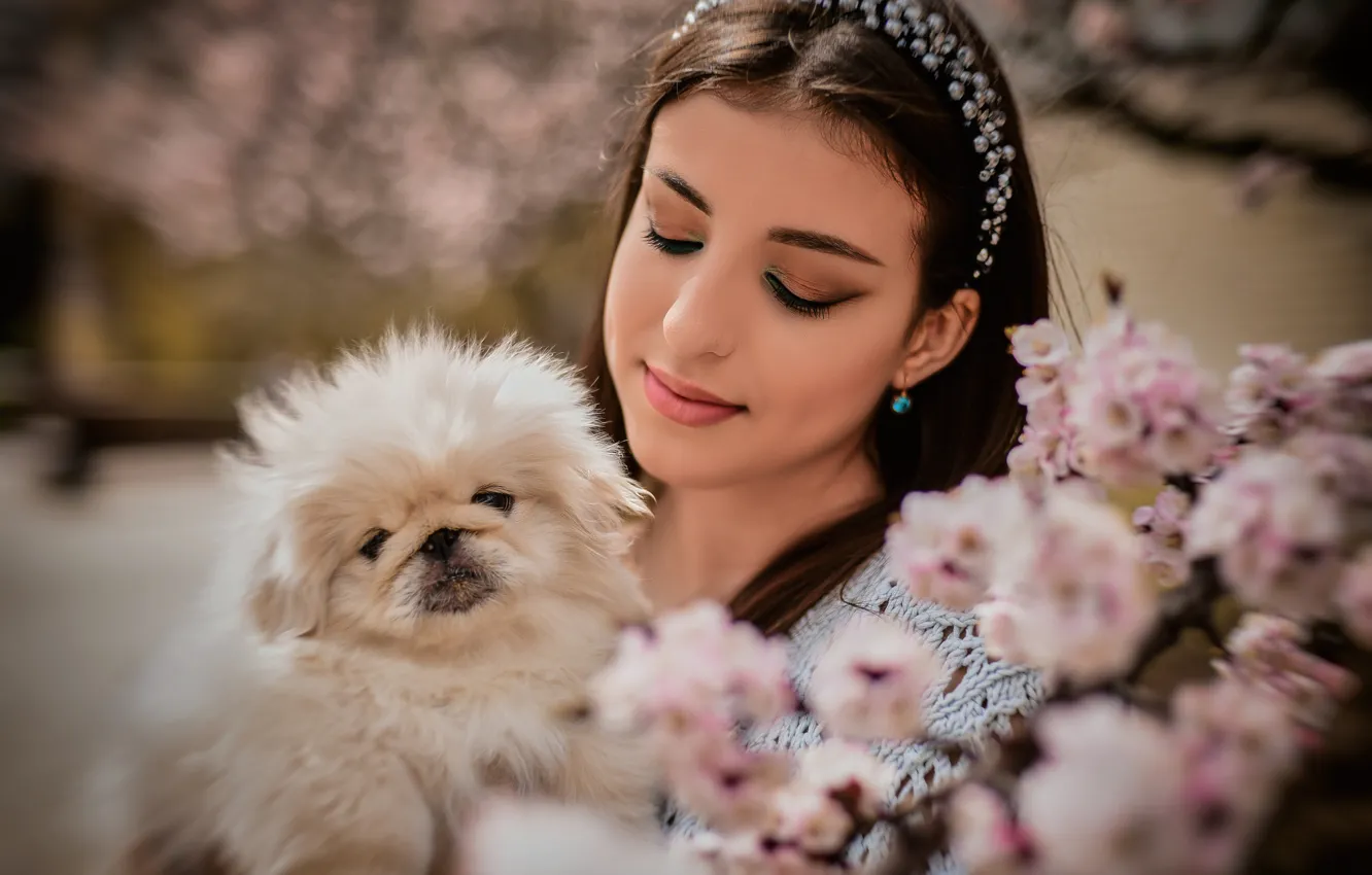 Фото обои девушка, природа, весна, макияж, брюнетка, собачка, цветение, пёсик