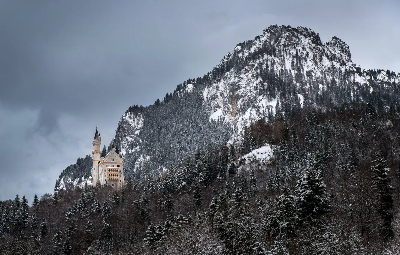 Фото обои зима, лес, гора, Германия, Бавария, Germany, Bavaria, Neuschwanstein Castle