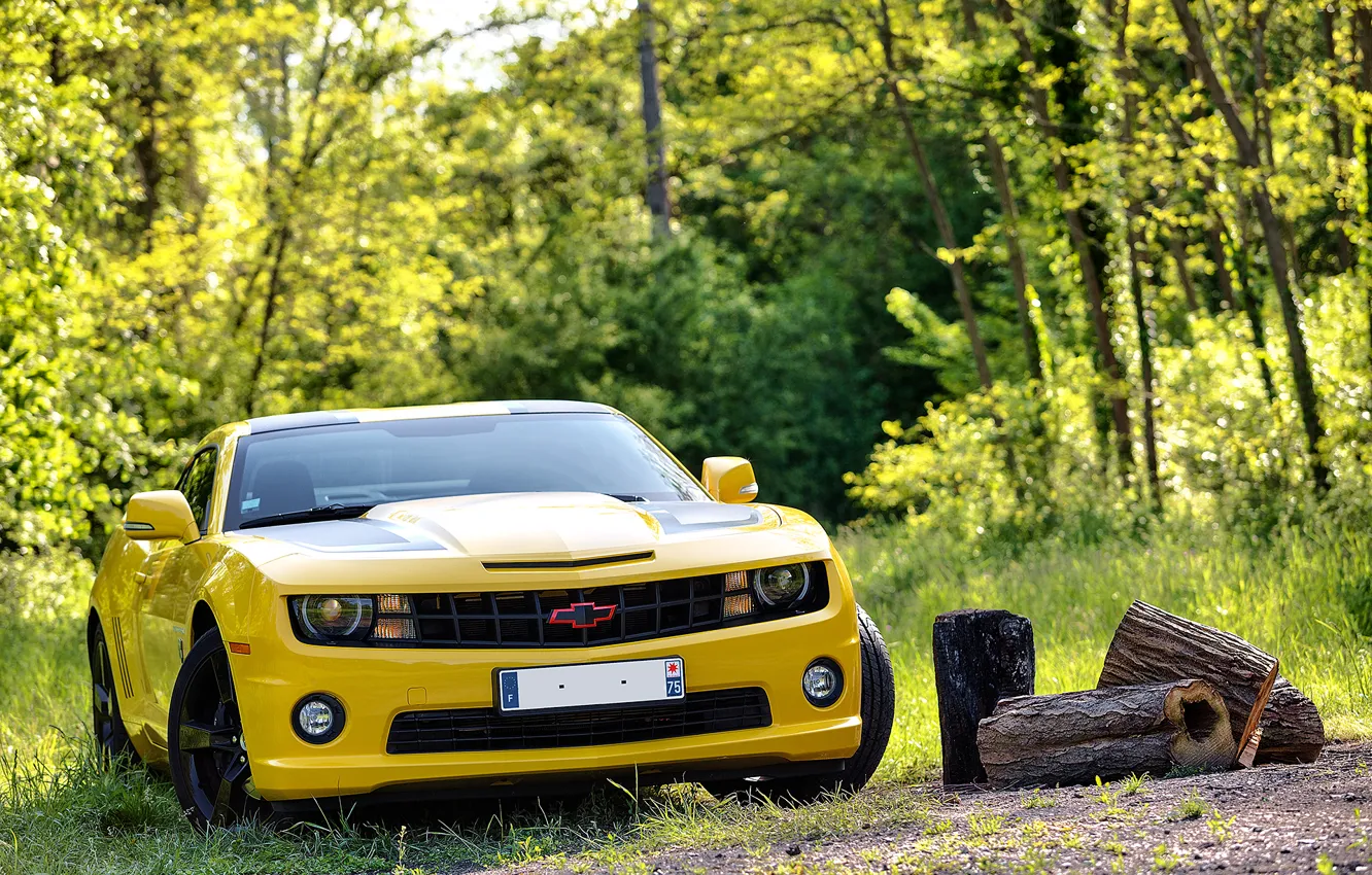 Фото обои 2012, шевроле, camaro, chevrolet, transformers, камаро, transformers edition