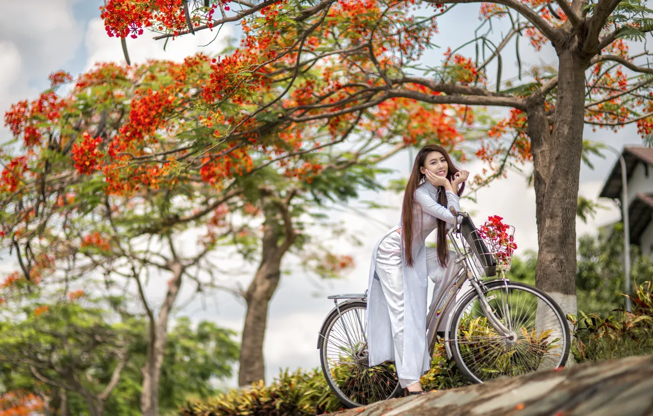 Фото обои лето, девушка, велосипед