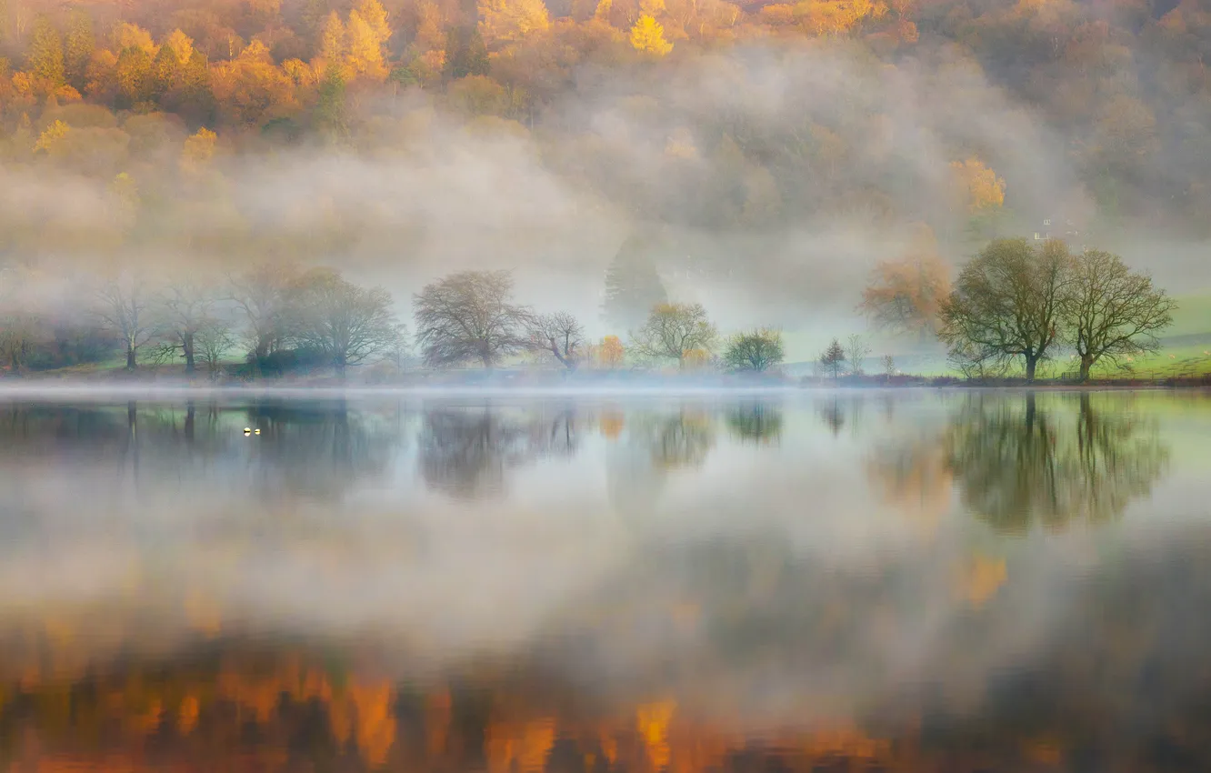 Фото обои лес, горы, туман, озеро