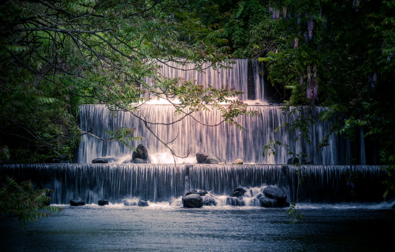Фото обои деревья, ветки, река, камни, водопад, Япония, каскад