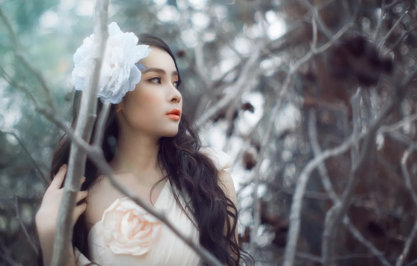 Фото обои девушка, азиатка, Thương Xinh
