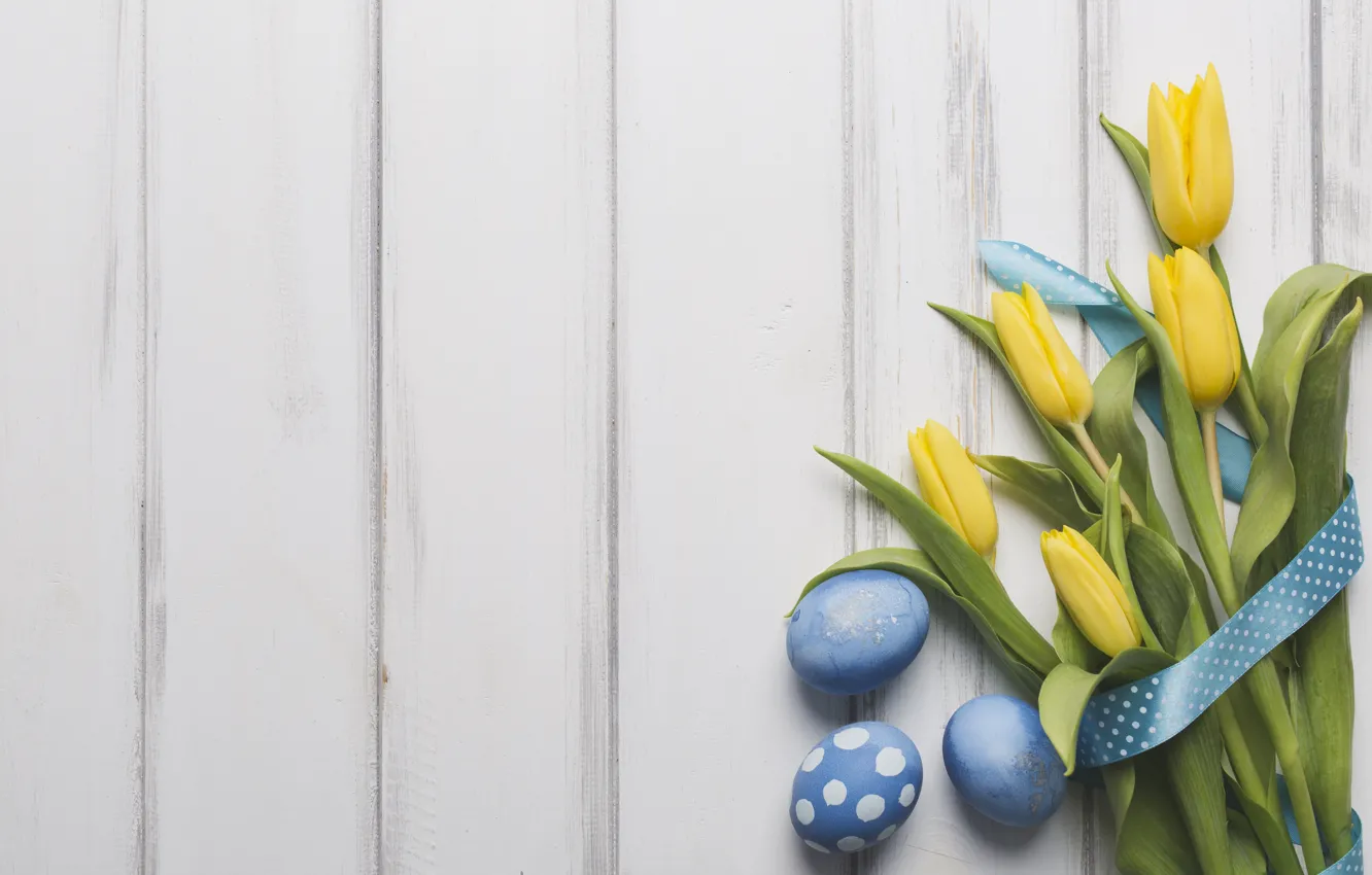 Фото обои праздник, букет, весна, лента, тюльпаны, wood, blue, tulips