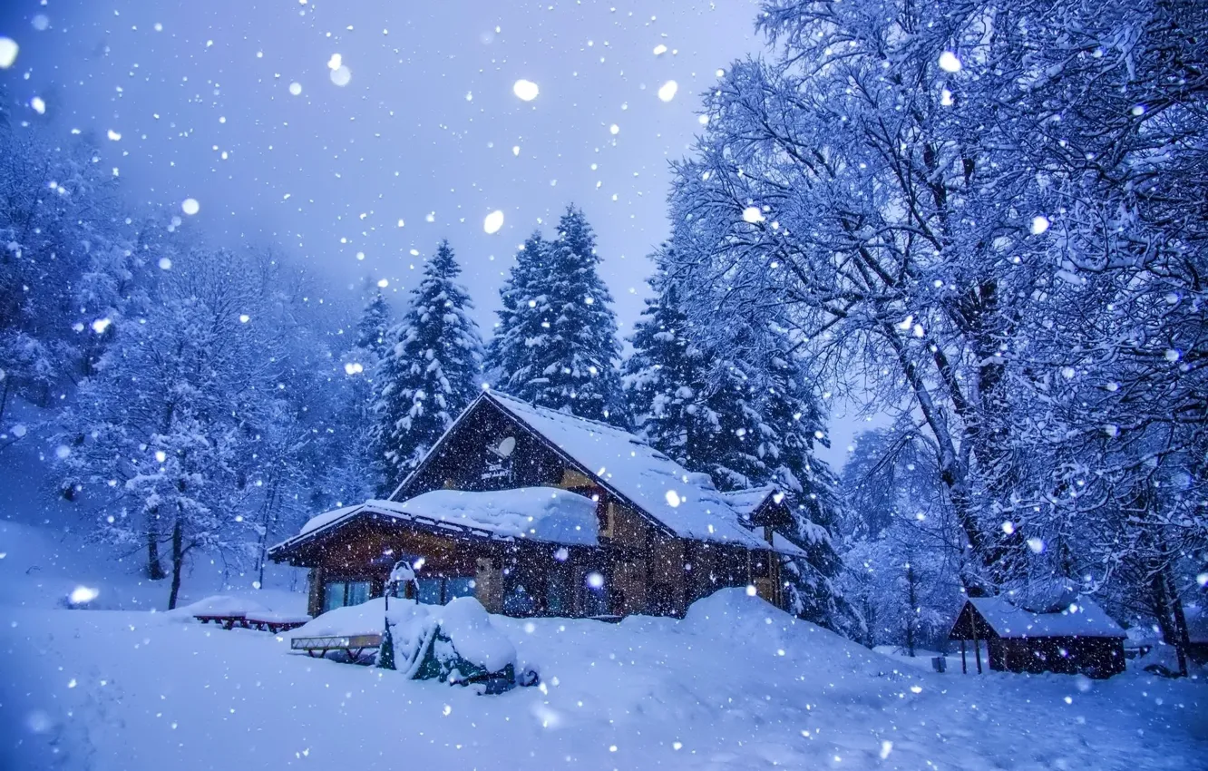 Фото обои Зима, Winter, Снежная ночь, Snowy Night, Falling snow, Падающий снег