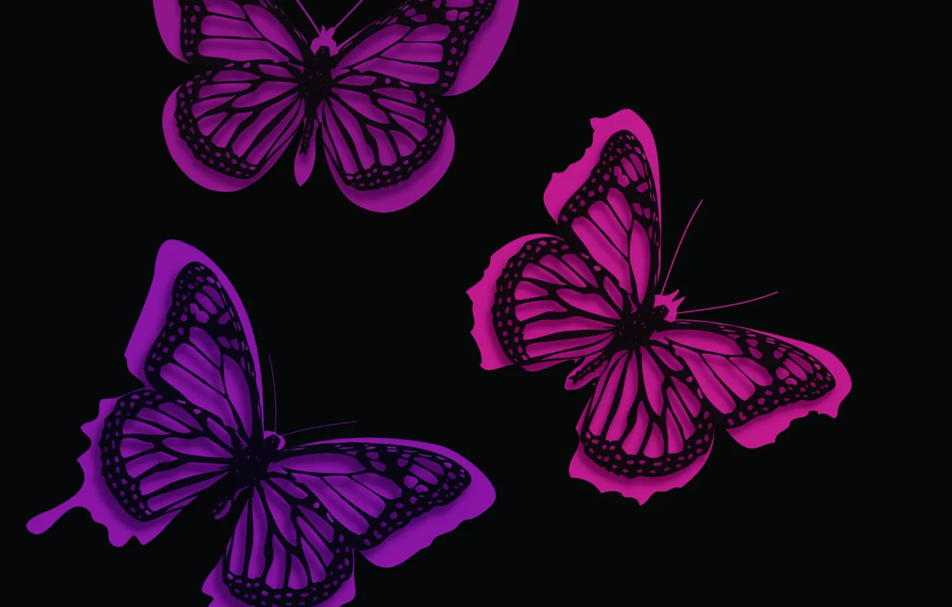 Фото обои линии, фон, узор, бабочка, краски, мотылек
