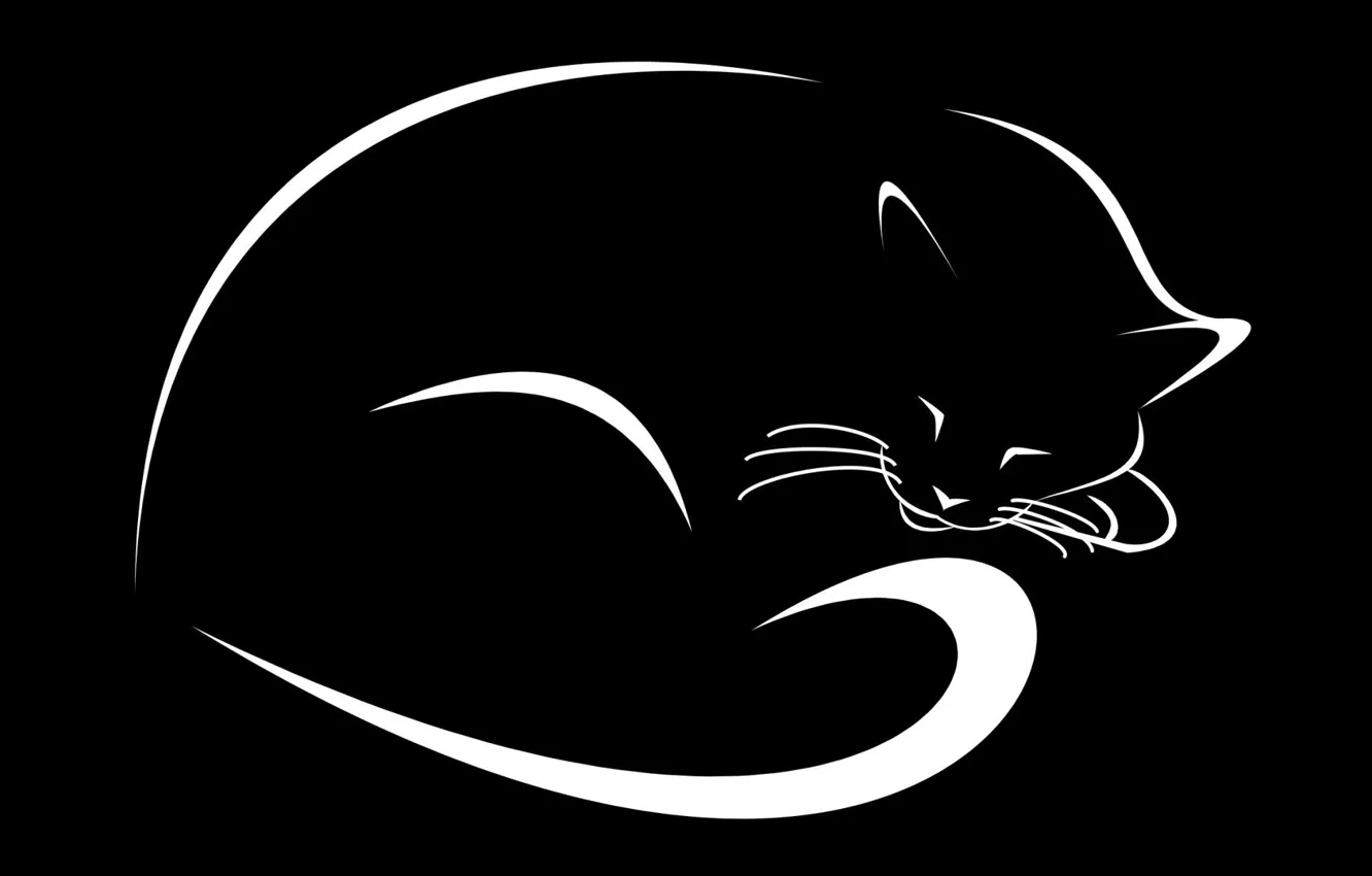Фото обои кошка, рисунок, черный фон
