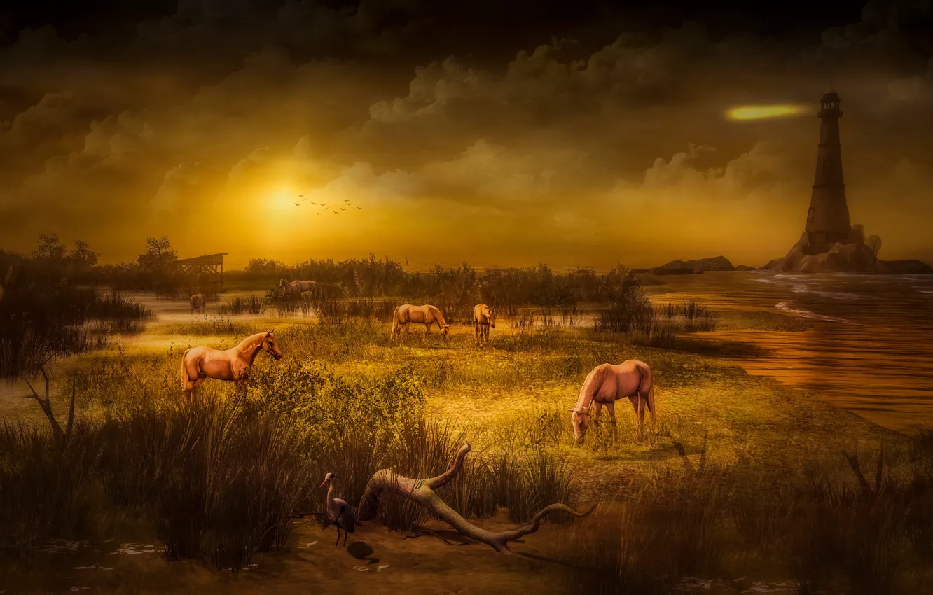 Фото обои море, небо, трава, солнце, облака, свет, пейзаж, закат