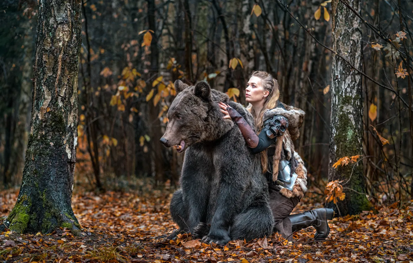 Фото обои лес, девушка, природа, животное, хищник, медведь, зверь, Ross McGree