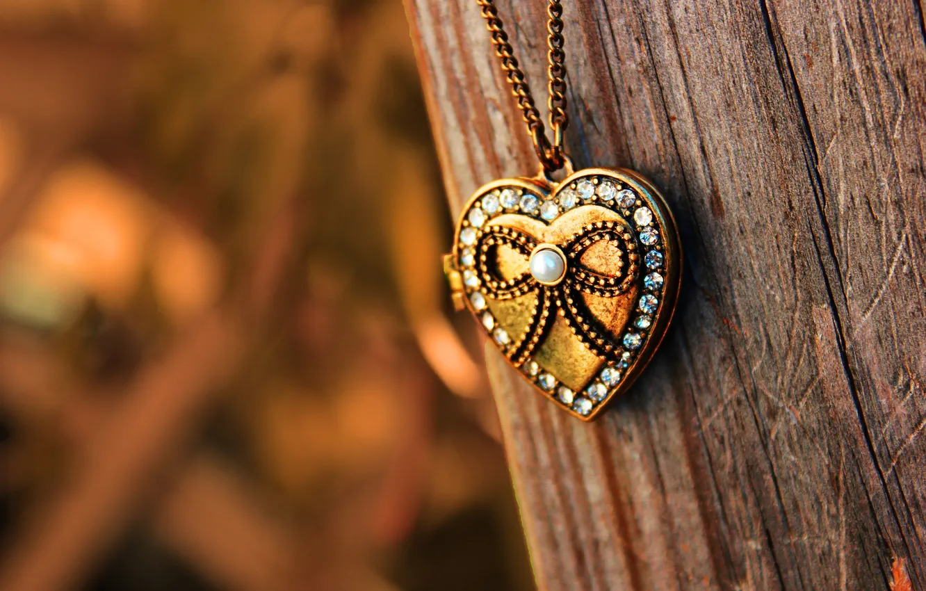 Фото обои камни, дерево, сердце, размытость, кулон, цепочка, сердечко, подвеска