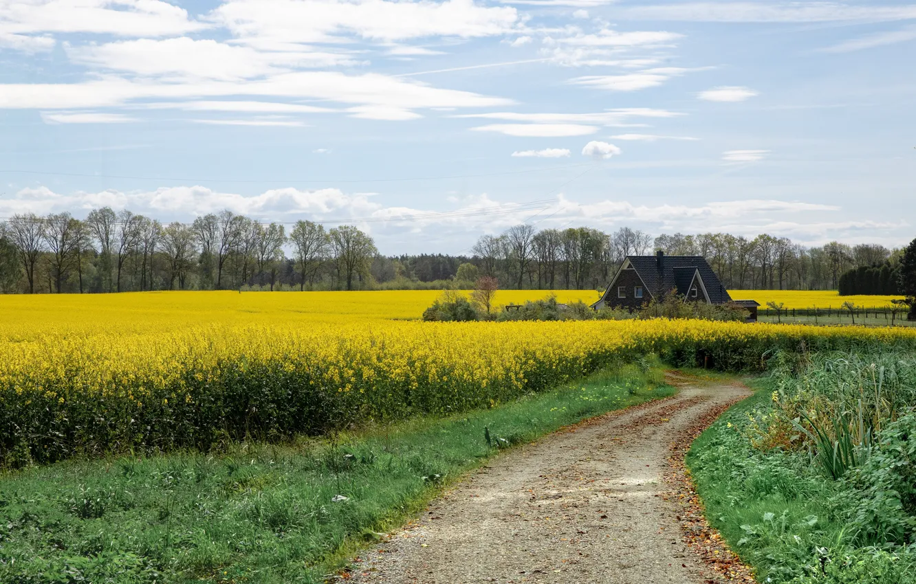 Фото обои дорога, небо, трава, облака, деревья, цветы, дом, весна
