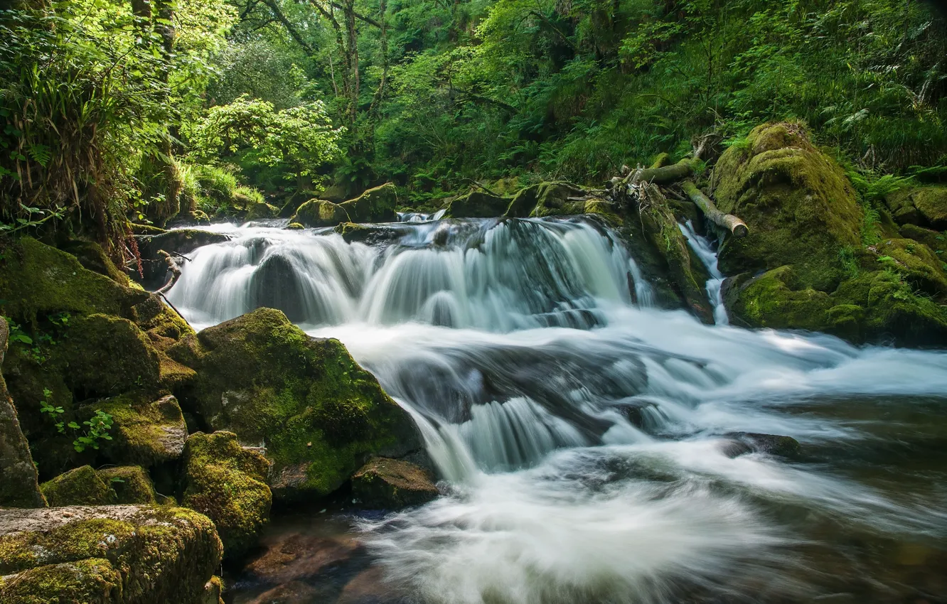 Фото обои лес, река, Англия, водопад, каскад, England, Корнуолл, Cornwall