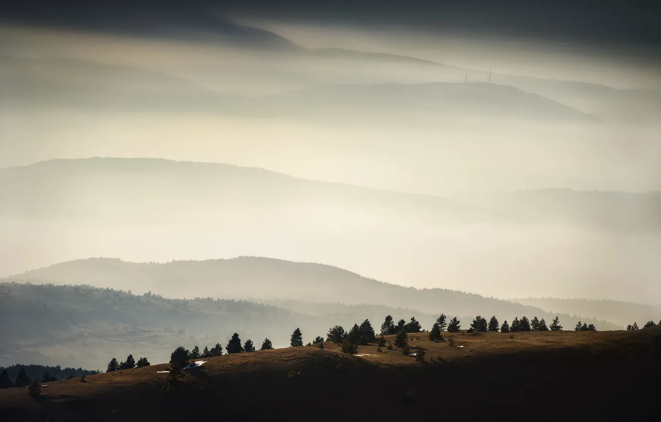 Фото обои деревья, горы, туман, антенна, trees, mountains, fog, antenna