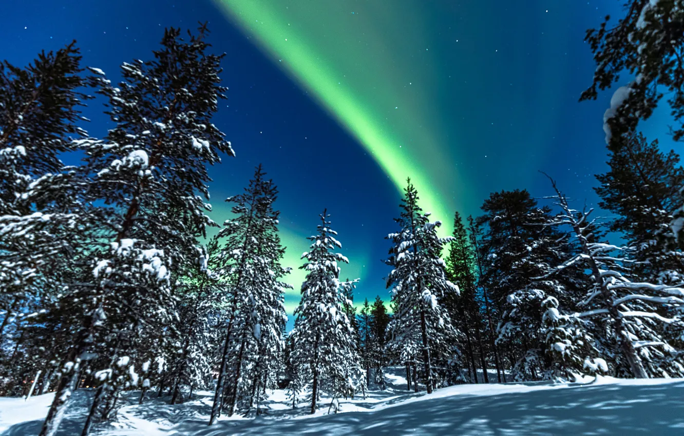 Фото обои зима, лес, снег, деревья, северное сияние, ели, Финляндия, Finland