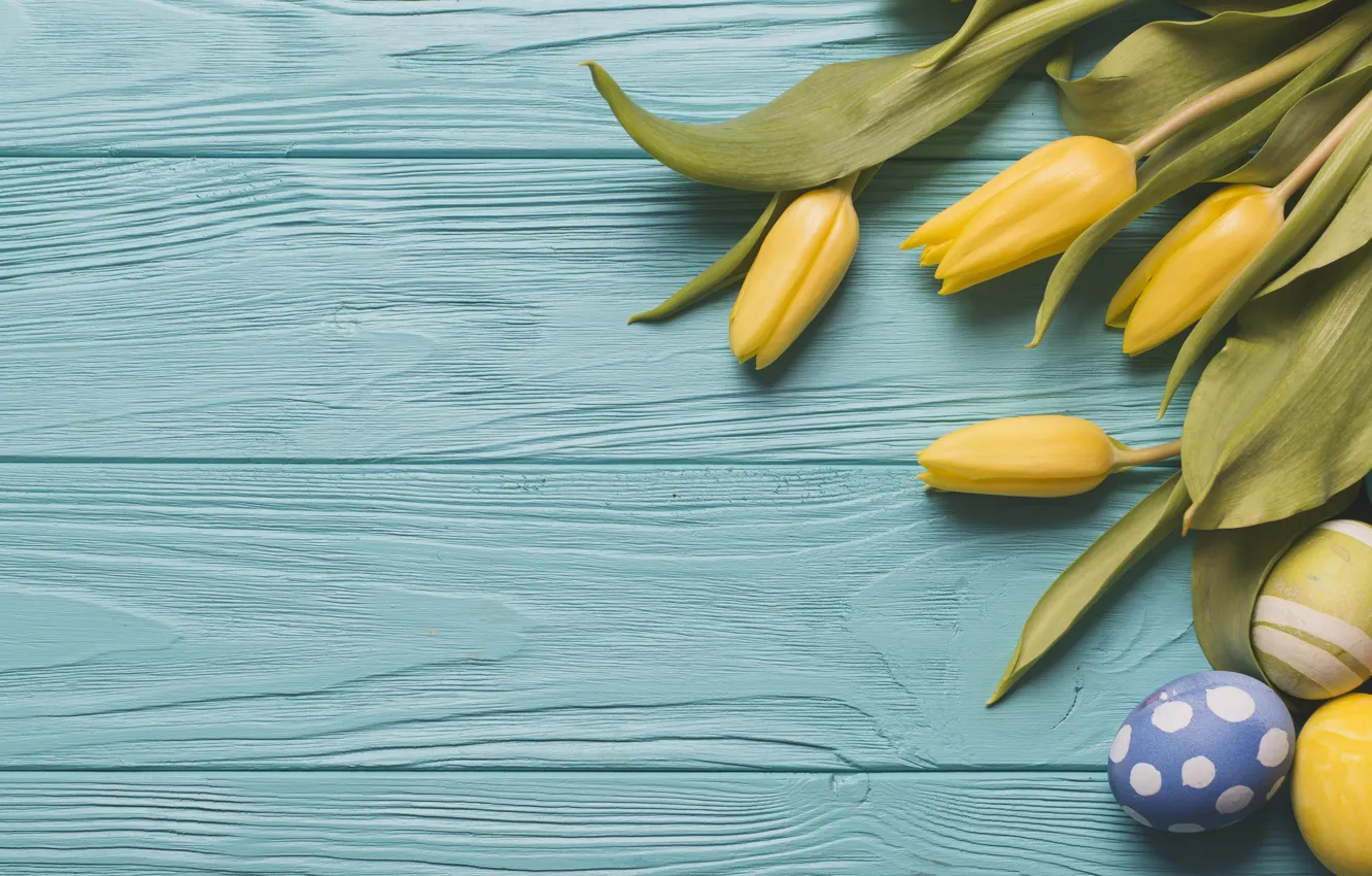 Фото обои цветы, весна, желтые, Пасха, тюльпаны, yellow, flowers, tulips