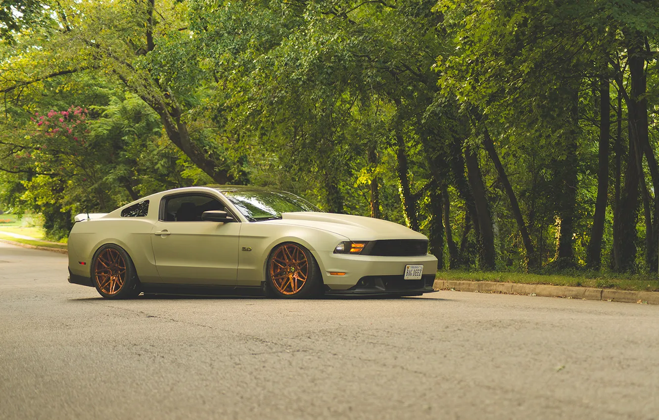 Фото обои дорога, тюнинг, мустанг, ford, tuning, stance, 2013, swglob