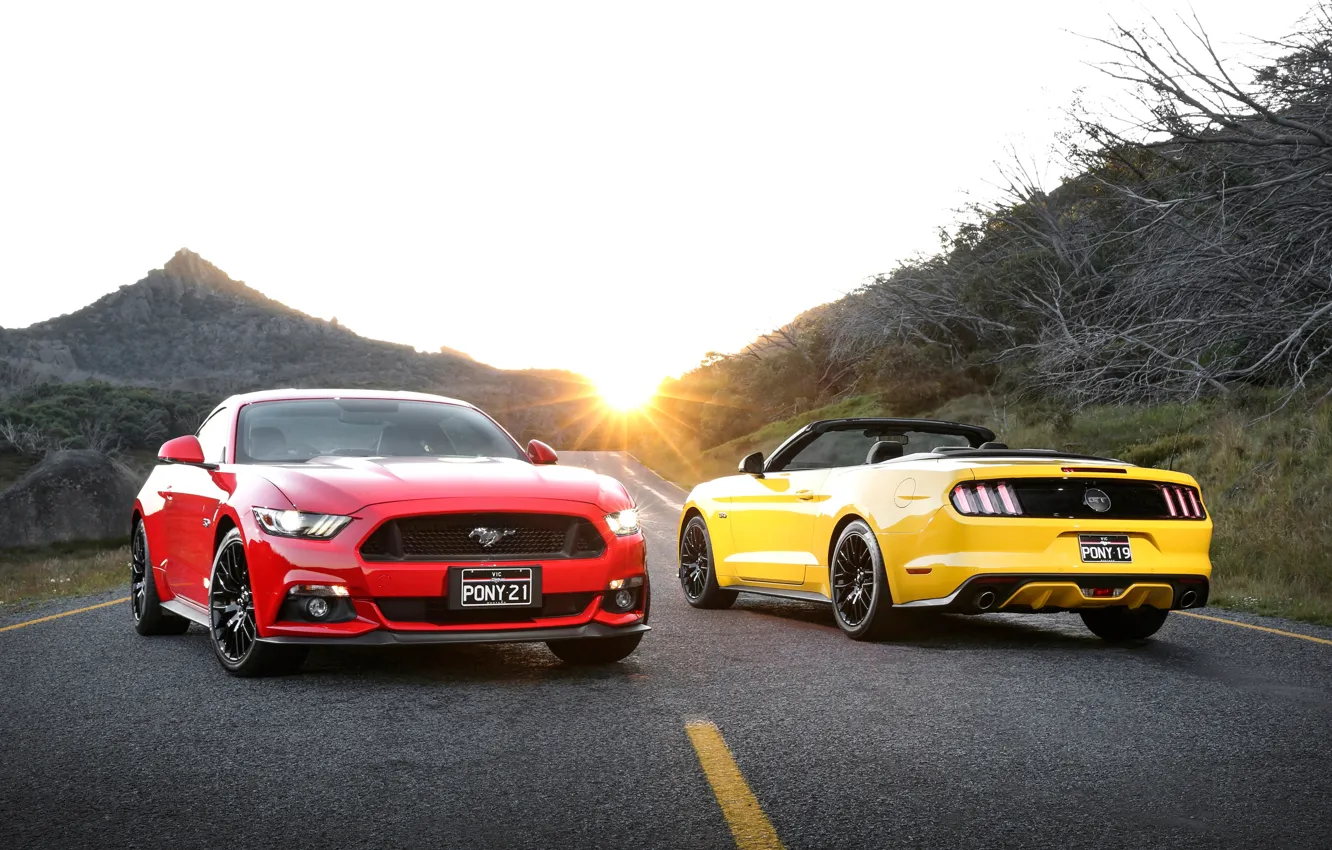 Фото обои Mustang, Ford, мустанг, форд