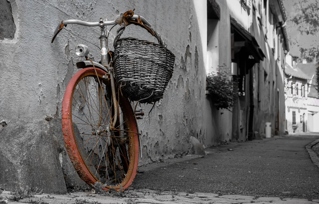 Фото обои велосипед, город, улица, натурализм