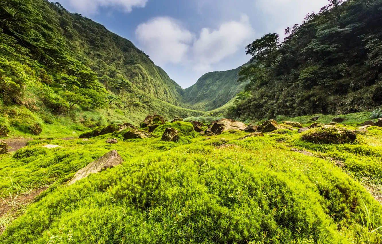 Фото обои зелень, трава, деревья, горы, камни, долина