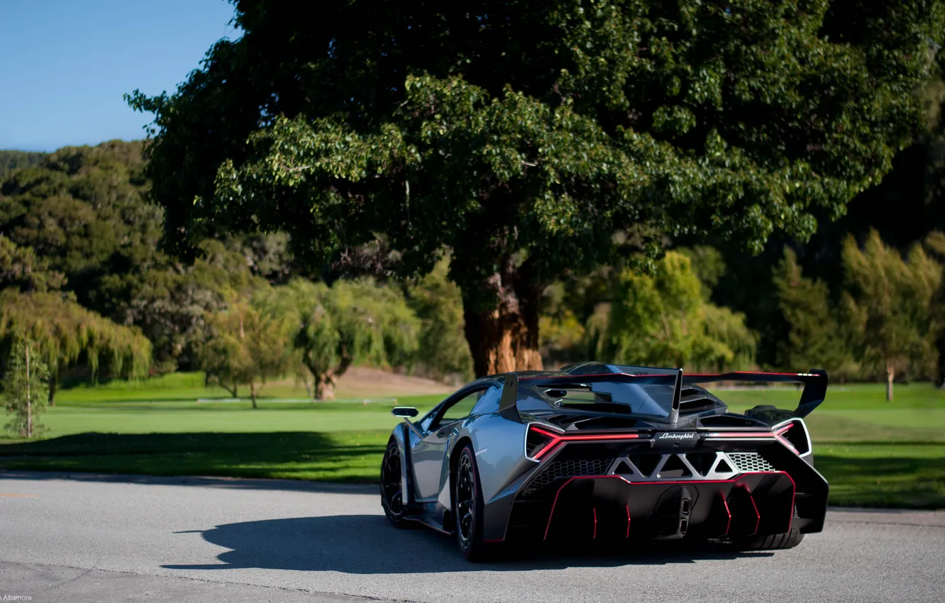 Фото обои природа, Lamborghini, суперкар, вид сзади, Veneno