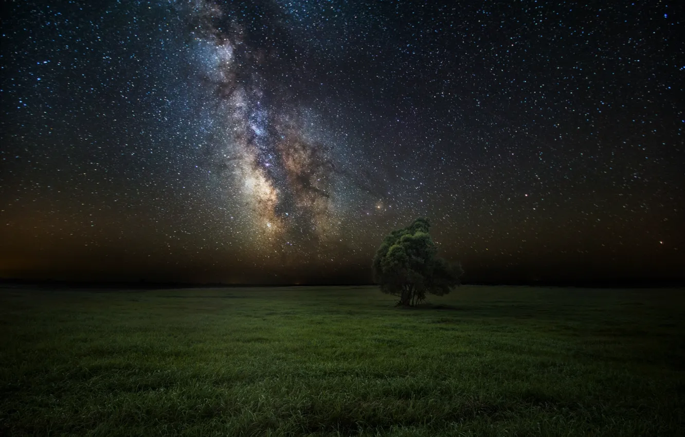 Фото обои поле, небо, звезды, ночь, дерево, млечный путь