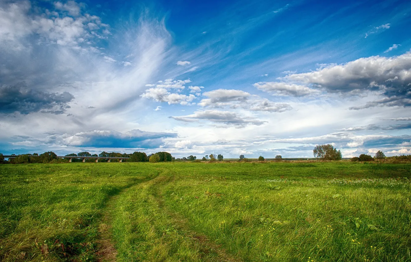 Фото обои зелень, поле, небо, трава, пейзаж, природа