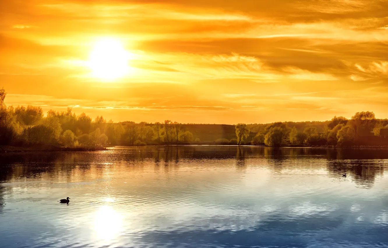 Фото обои summer, sky, sunset, sun, sunrise, spring, sunlight, season