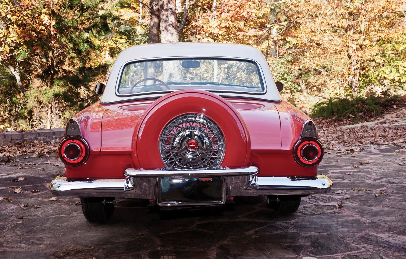 Фото обои Ford, Форд, 1965, ретро автомобили, Thunderbird, retro cars, Ford Thunderbird Convertible