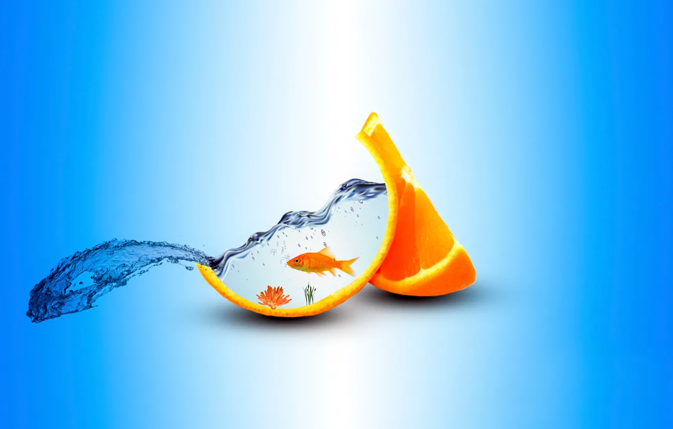 Фото обои апельсин, аквариум, рыбка