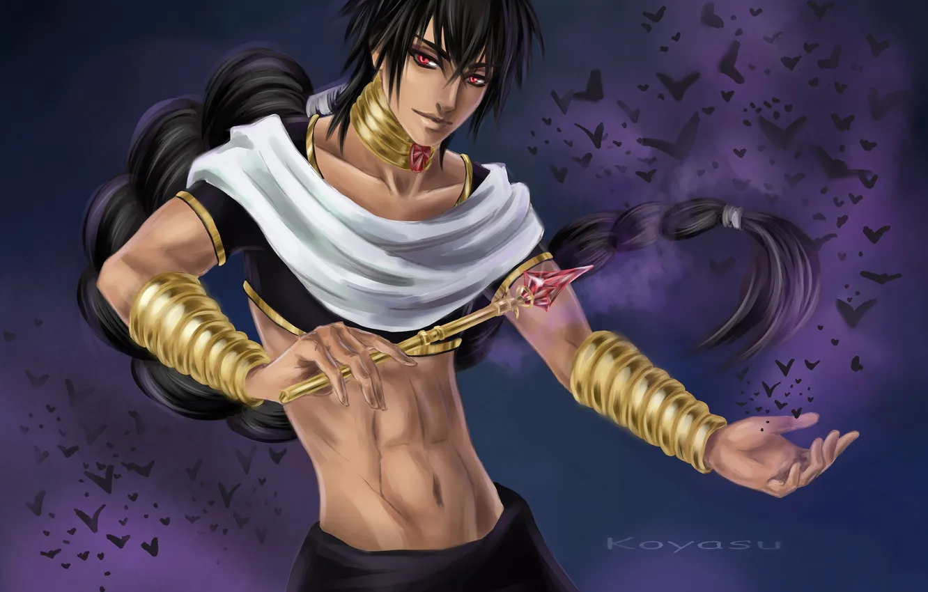Фото обои птицы, аниме, арт, парень, magi the labyrinth of magic, Koyasu, Judal