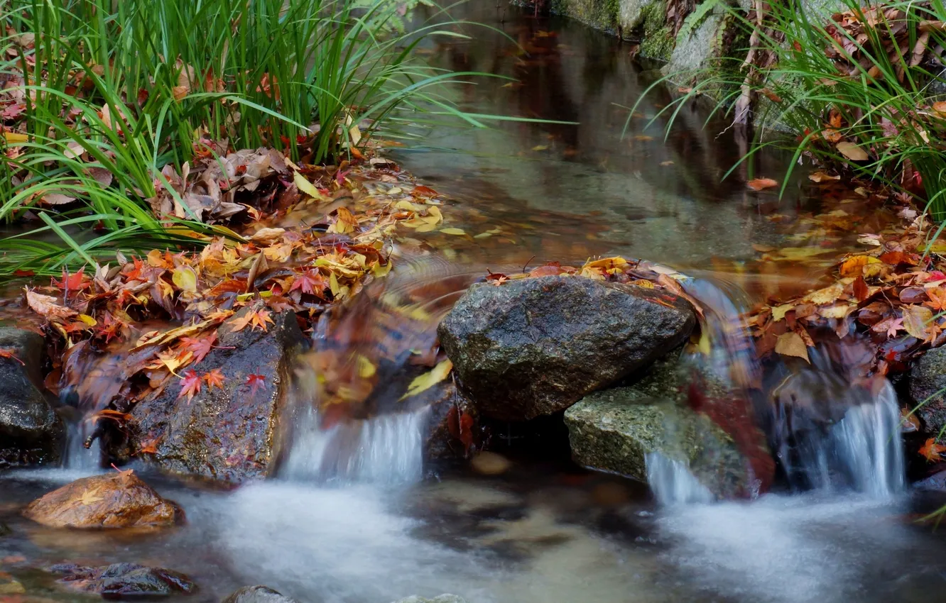Фото обои осень, трава, листья, ручей, камни, водопад