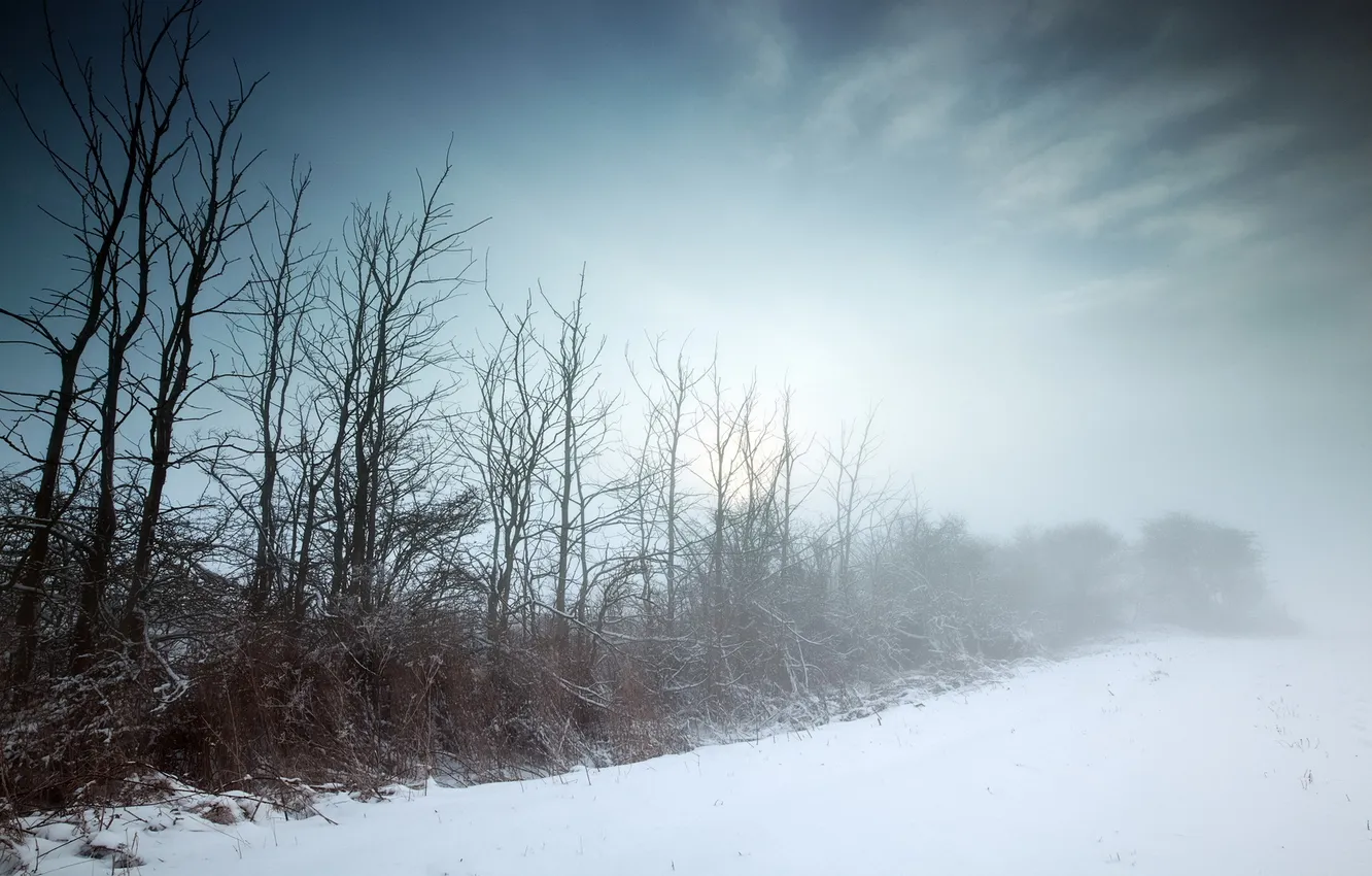 Фото обои зима, поле, пейзаж, туман