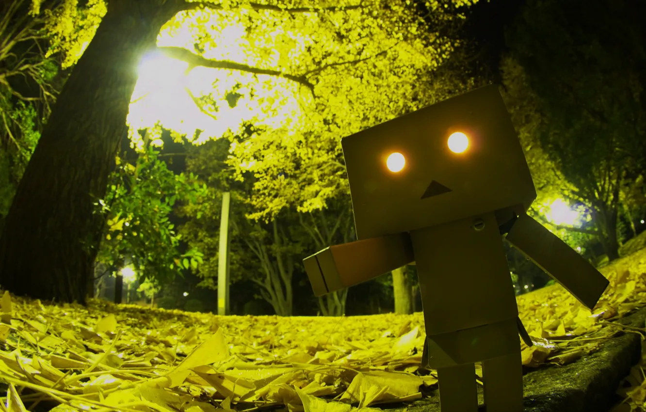 Фото обои глаза, свет, деревья, парк, листва, ужас, robot, danbo