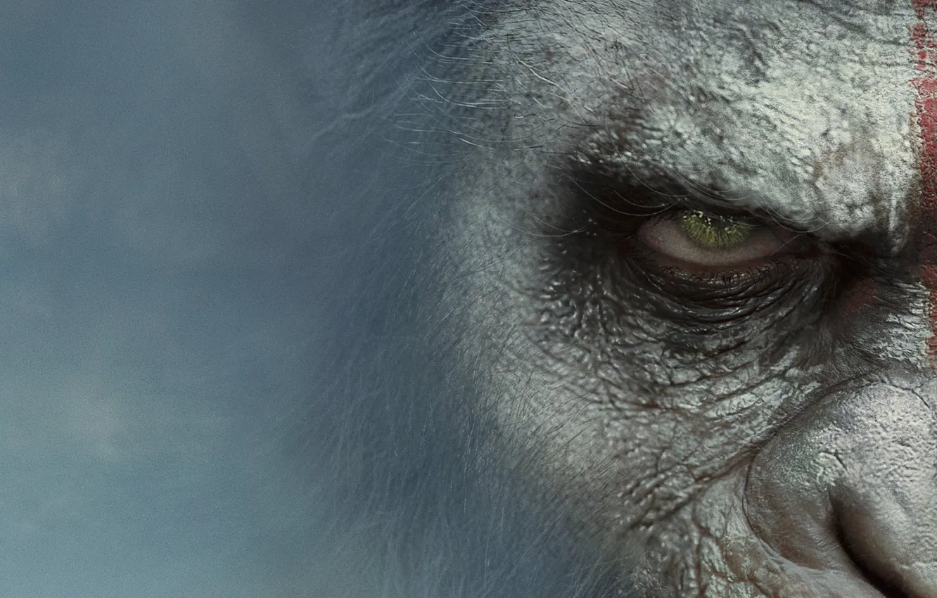 Фото обои Movie, Dawn Of The Planet Of The Apes, Рассвет Планеты Обезьян