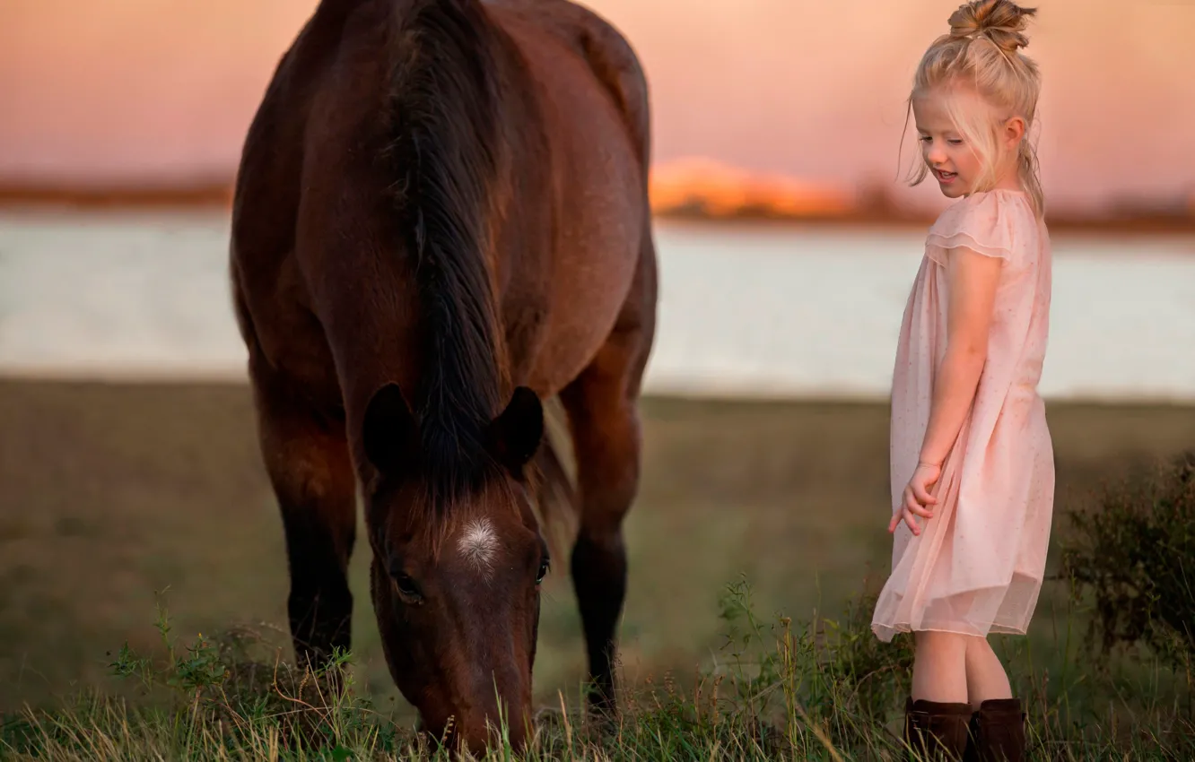 Фото обои закат, природа, лошадь, платье, девочка