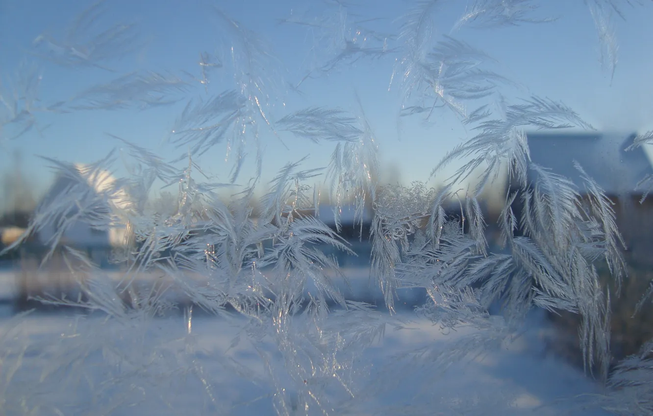 Фото обои лед, стекло, узор, мороз