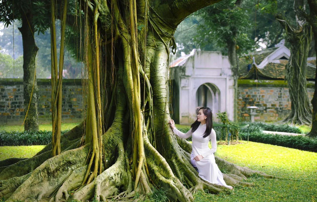 Фото обои дерево, сад, платье, прогулка, азиатка