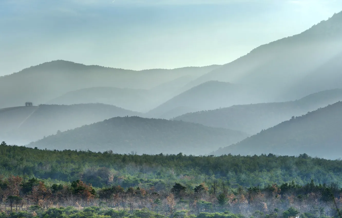 Фото обои лес, горы, туман, Франция, Рона-Альпы, Дьёлефи, Дром