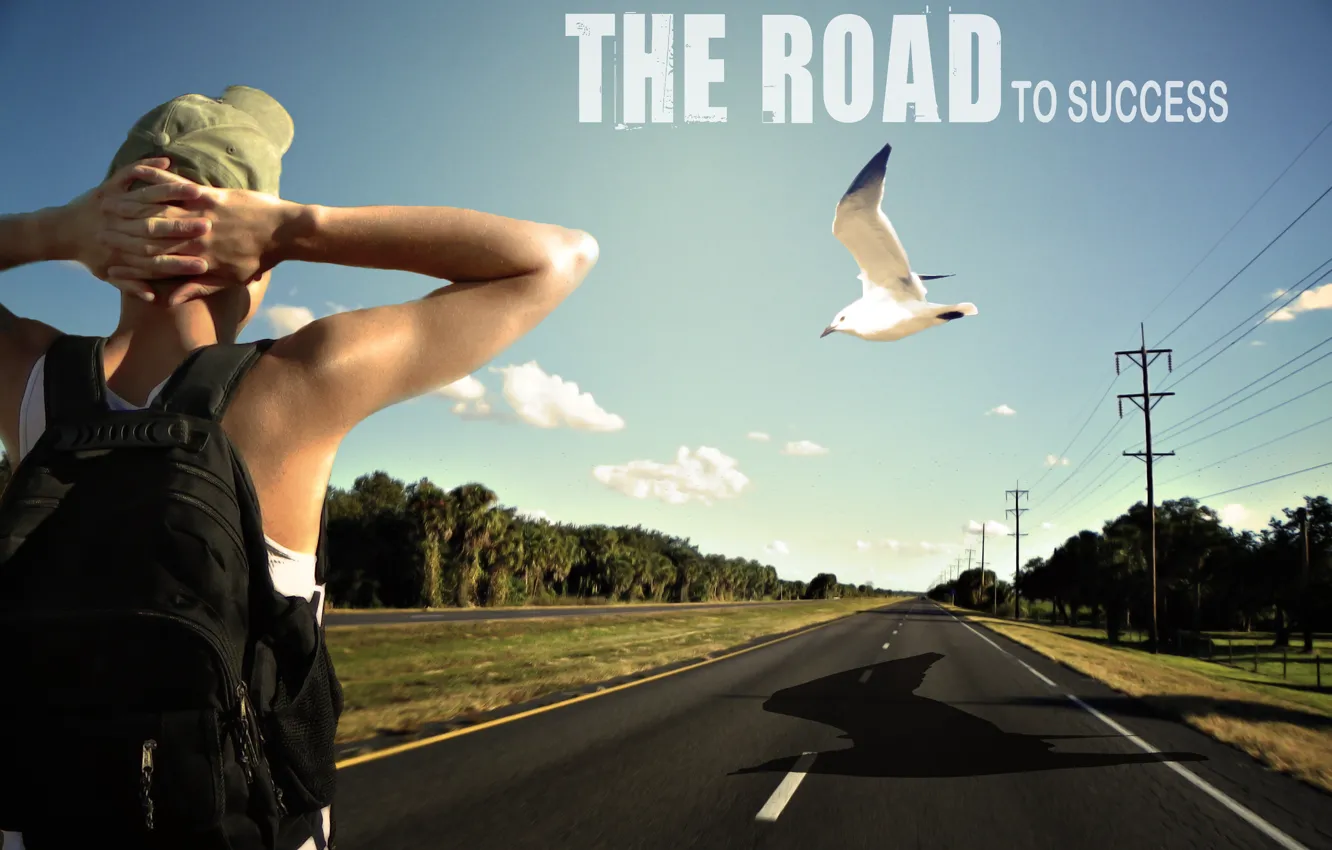 Фото обои road, bird, young, man, energy, men, guy, path