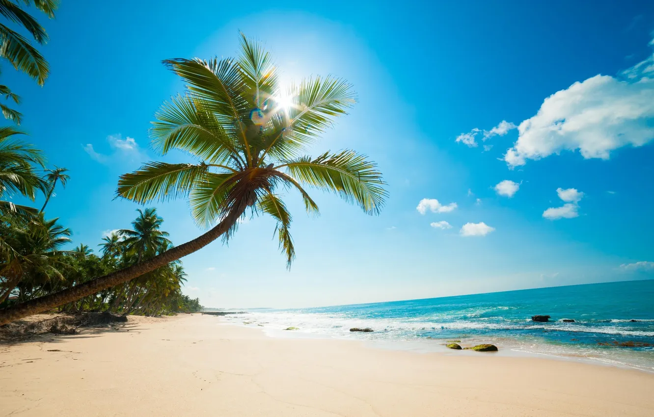 Фото обои песок, пляж, небо, солнце, облака, камни, океан, Пальмы