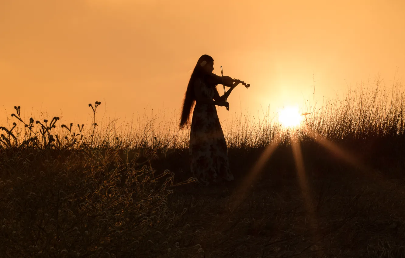 Фото обои поле, трава, девушка, закат, настроение, скрипка, вечер, платье