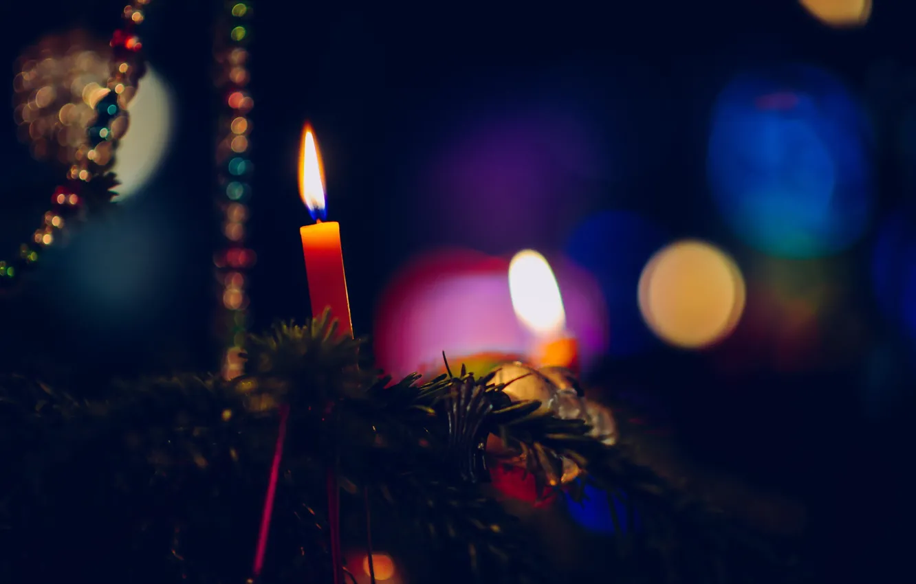 Фото обои праздник, свеча, ёлка