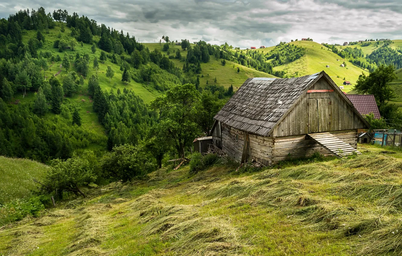 Дом на холме картинки