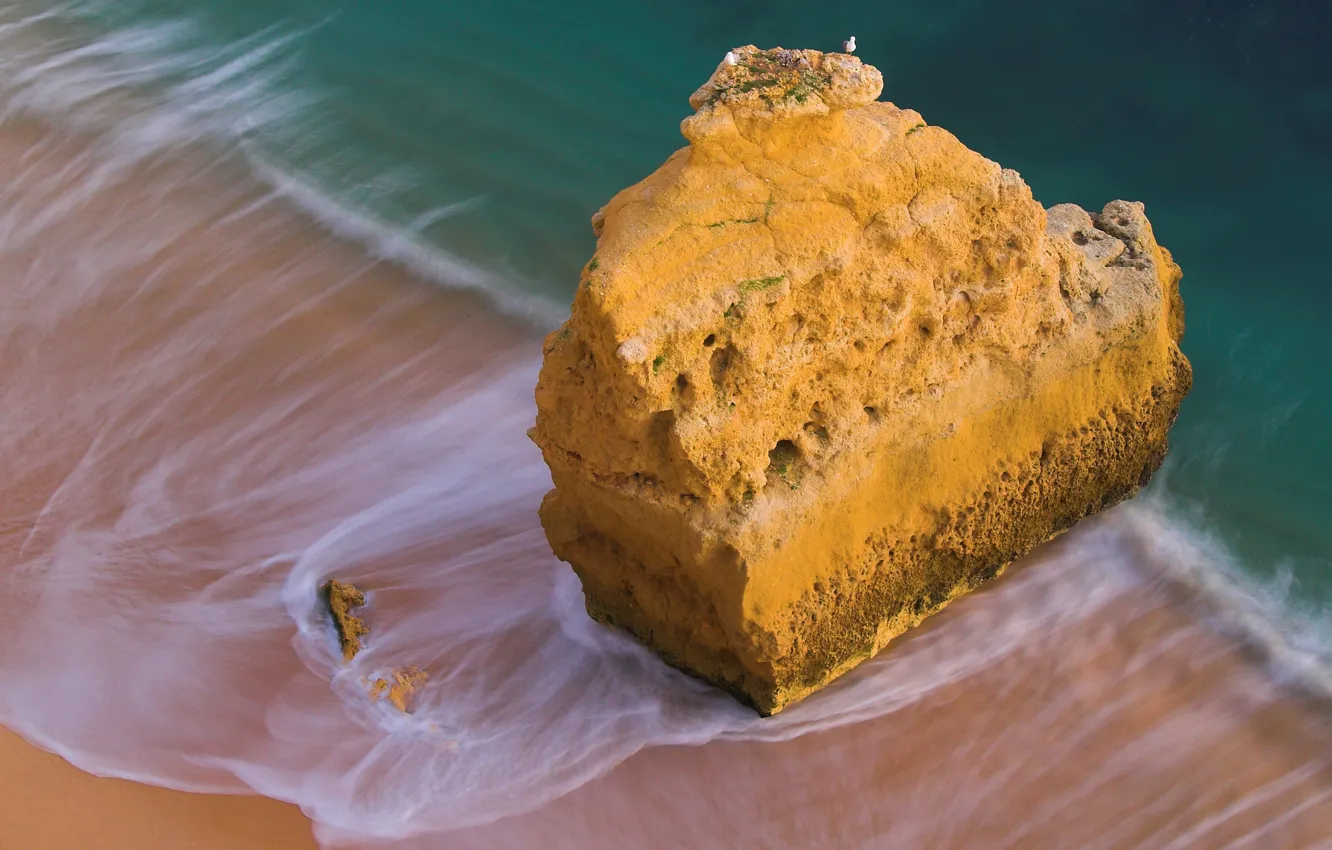 Фото обои море, вода, птицы, скала, камни, океан, скалы, птица