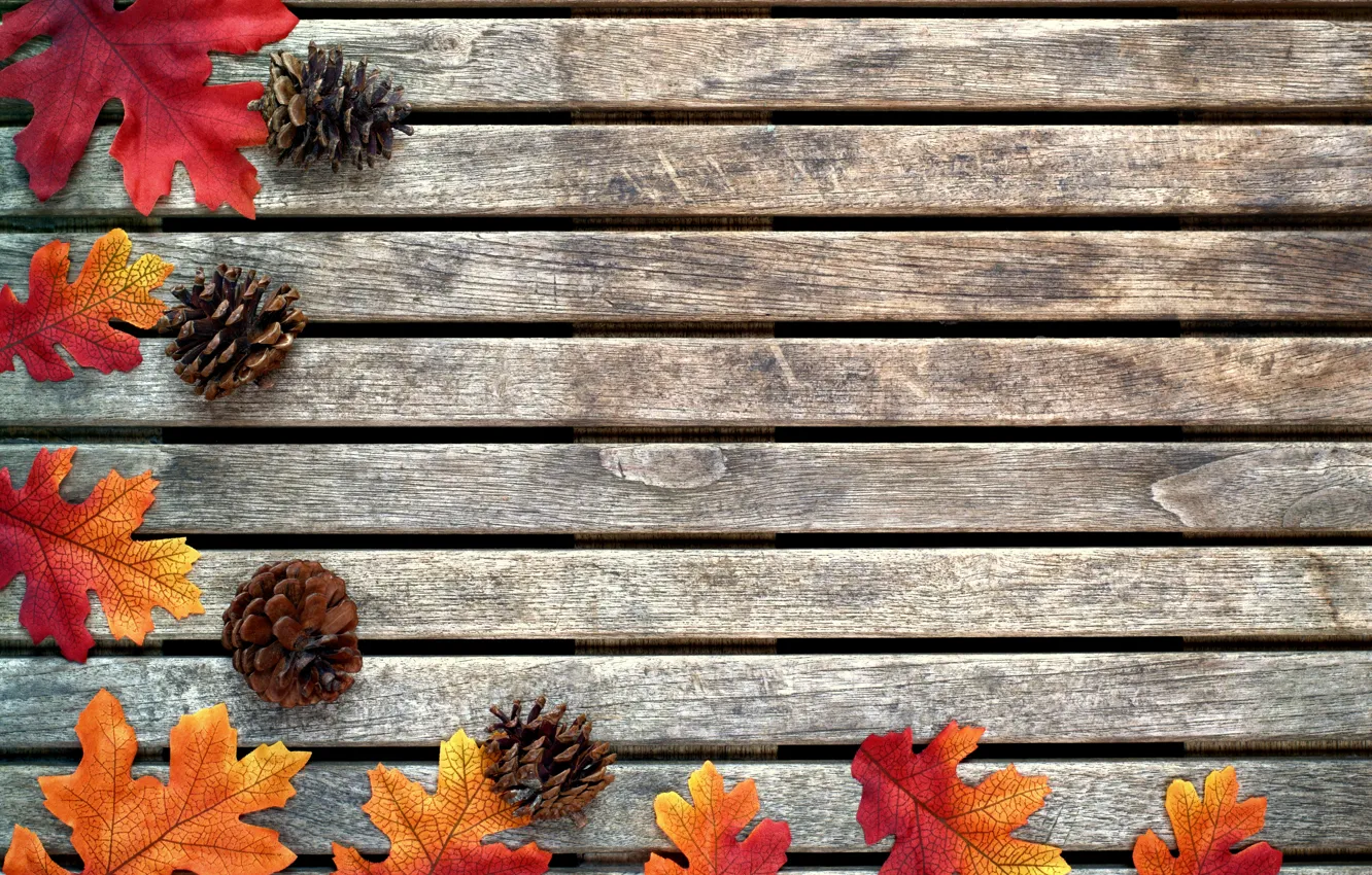 Фото обои осень, листья, фон, дерево, colorful, клен, шишки, wood