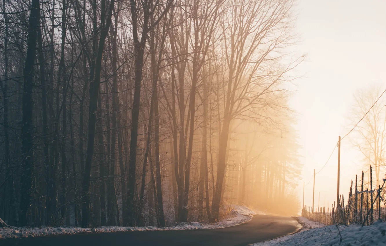 Фото обои зима, дорога, свет, снег, деревья, природа