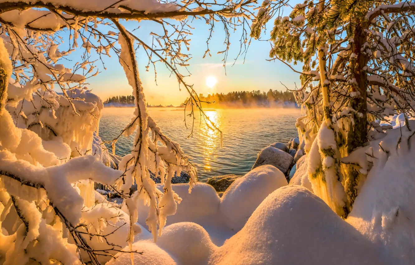 Фото обои вода, солнце, снег, деревья, ветки