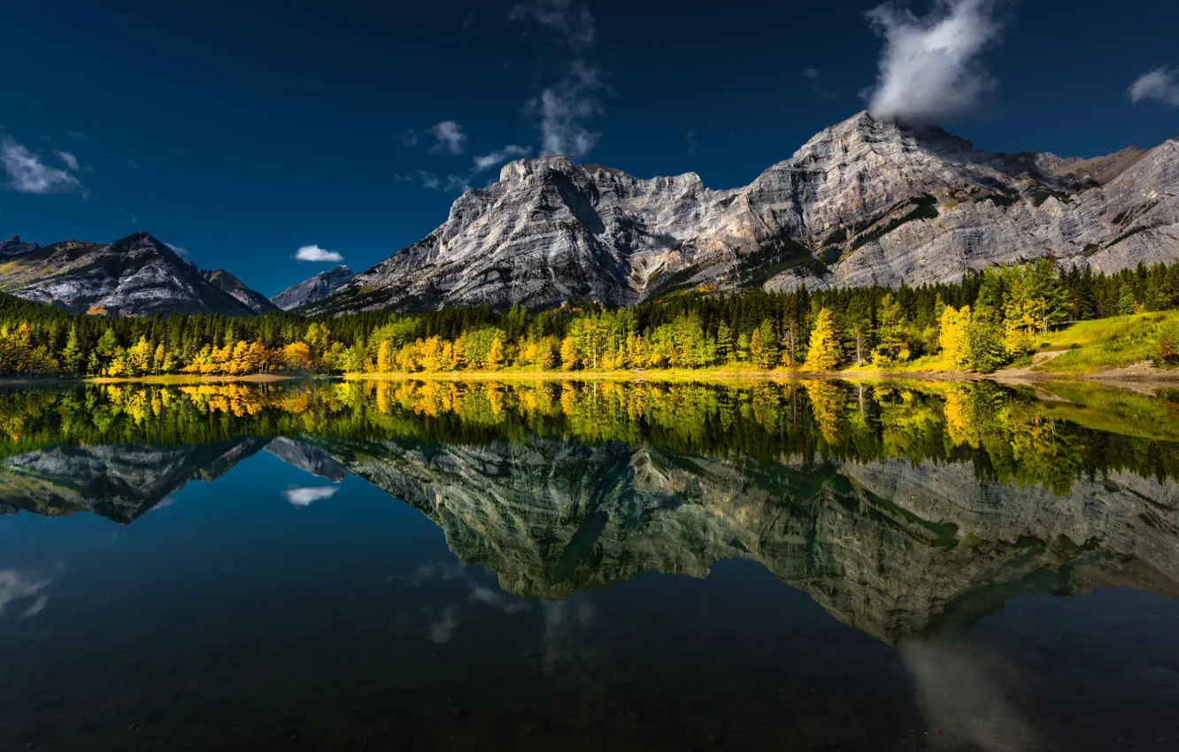 Фото обои осень, лес, горы, озеро, отражение, Канада, Альберта, Alberta