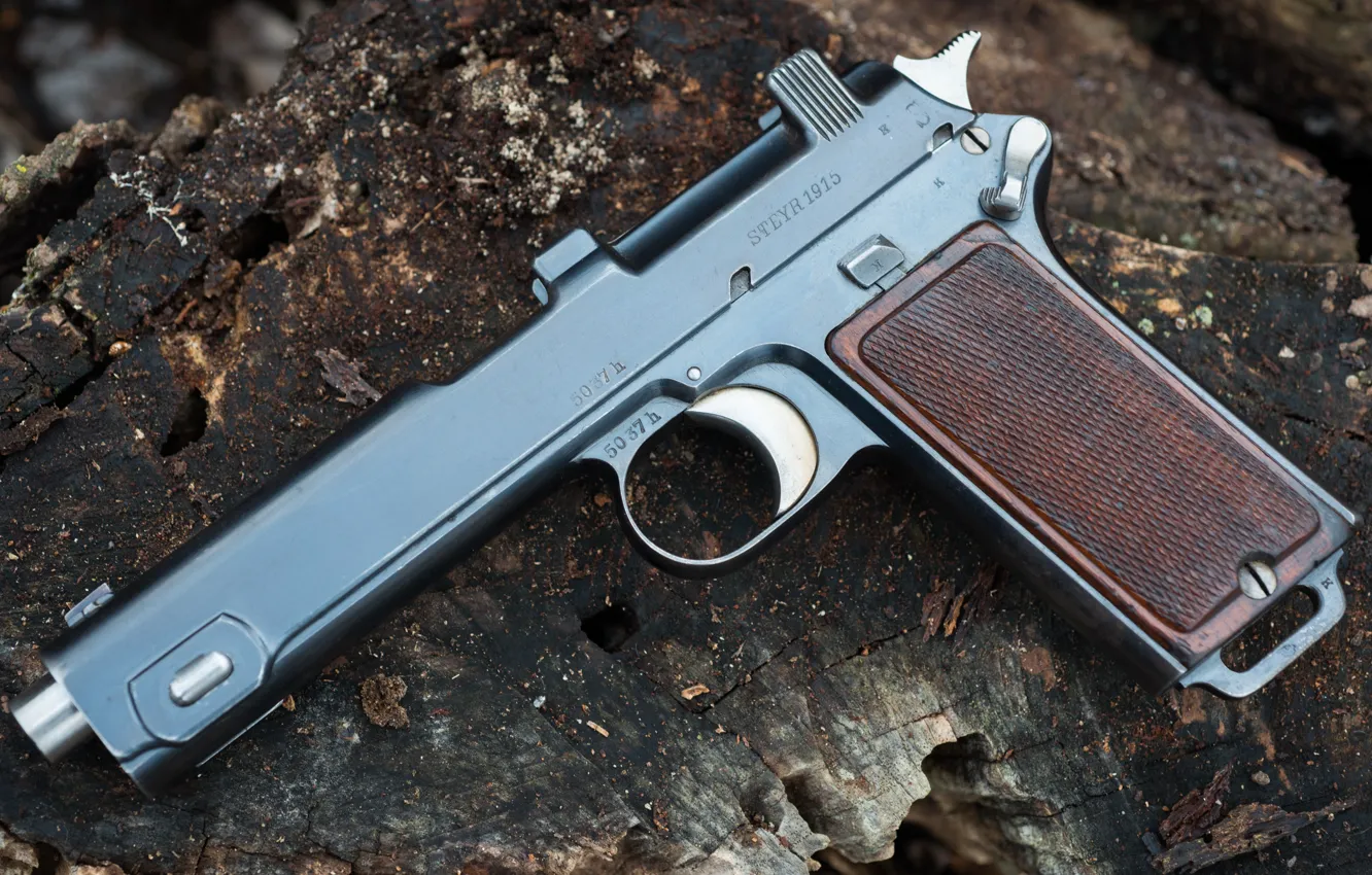 Фото обои 1915, самозарядный пистолет, Австро-Венгрии, Steyr Hahn