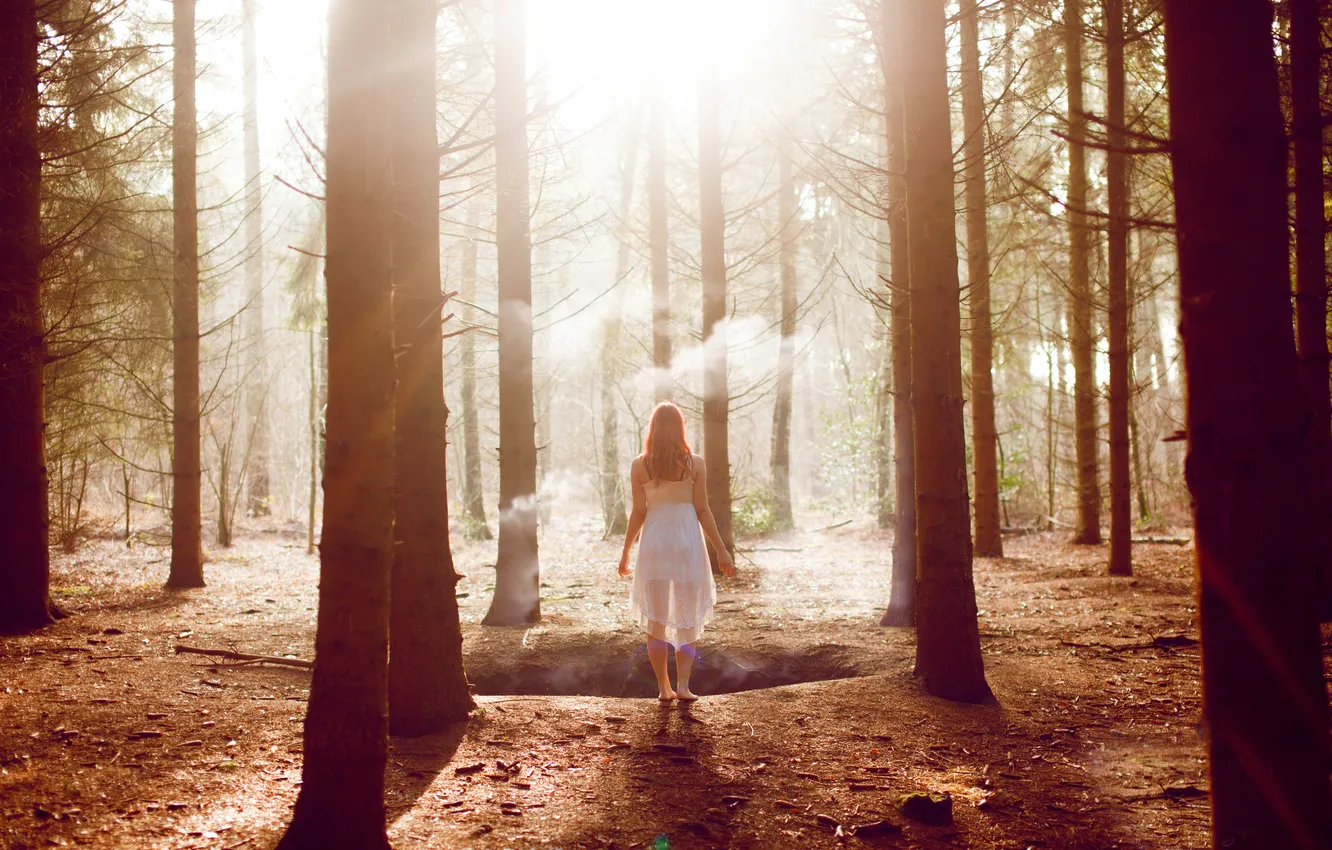 Фото обои лес, девушка, деревья, дым, шатенка